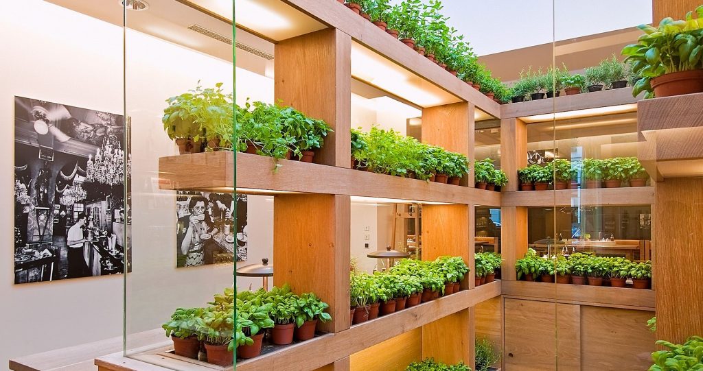 How To Create An Indoor Vegetable Garden